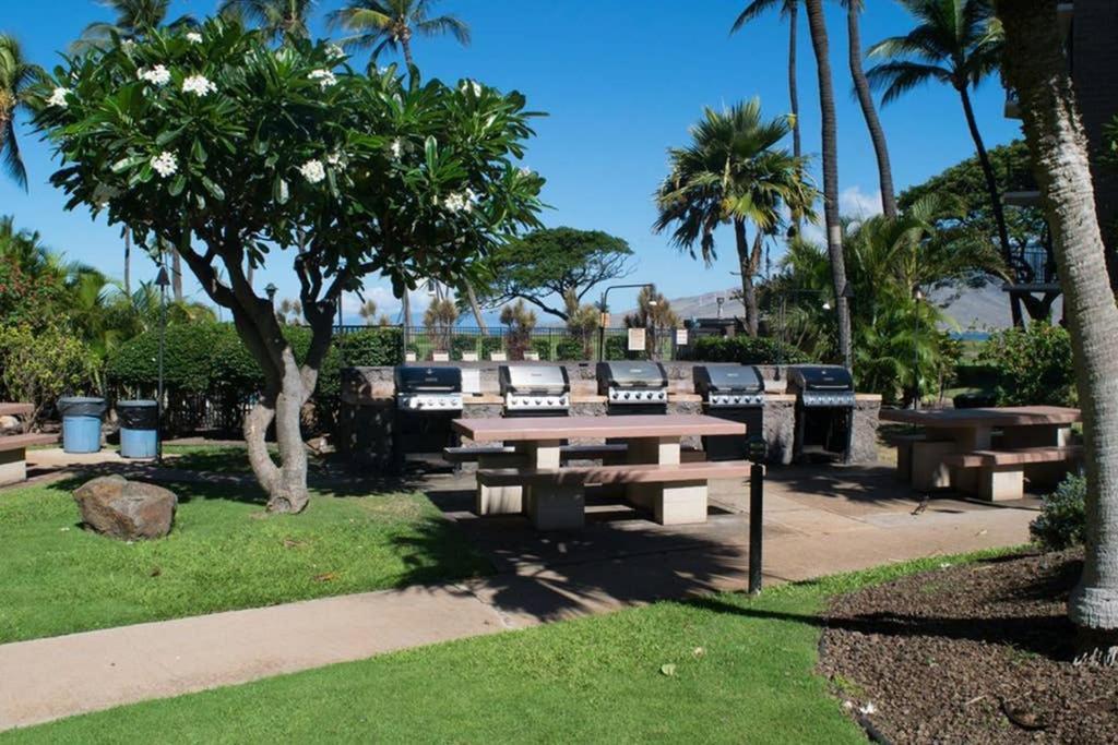 Oceanfront Penthouse With Amazing Views At Kauhale Makai Lägenhet Kihei Exteriör bild